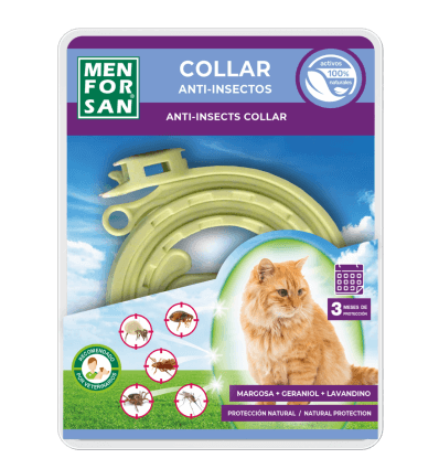 Collar anti insectos Menforsan para gatos